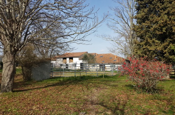  Property for Sale - Farm - montesquieu-volvestre  